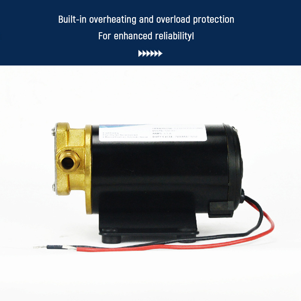 Gear Oil Pump 12V 24V Electric - Mini Peristaltic Pump 12V review and price