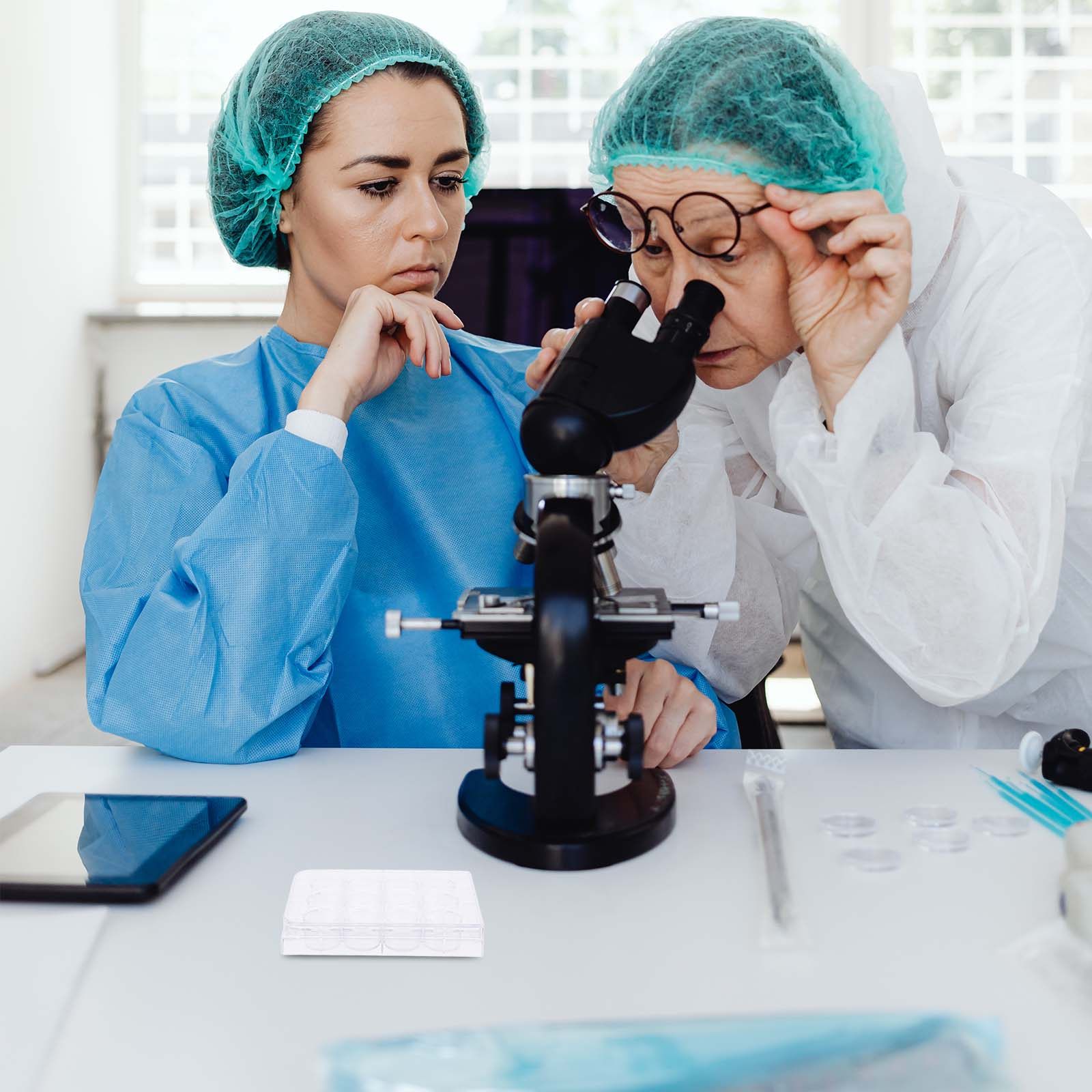 12-Hole Cell Culture Plate Tis - Lab Equipment review and price