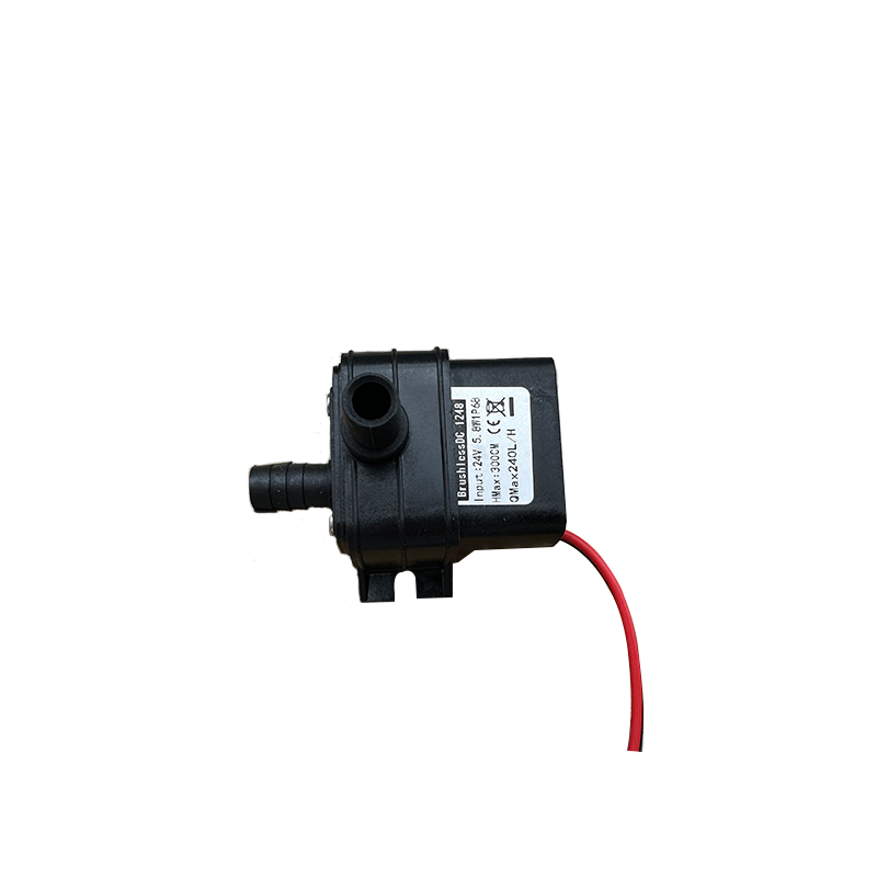 Portable DC 12V 4.8W 24V 5.8W  - Mini Peristaltic Pump 12V review and price